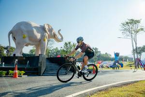 BIB: 
                            <button type="button" onclick="openModal(26183001)" class="btn btn-primary btn-sm float-right btn-popup" data-toggle="modal" data-target=".modal-high-quality">
                        <i class="fas fa-shopping-cart"></i> Add to Cart
                    </button>
                                            <button type="button" onclick="isThisMe(26183001, true)" class="btn btn-success btn-sm float-right btn-popup btn-isme hidden" data-toggle="tooltip" data-placement="bottom" title="นี่คือรูปของคุณใช่ไหม คลิกที่นี่เพื่อเอาเข้าอัลบั้ม">
                        <i class="fas fa-plus"></i> Add to album
                    </button>
                    <button type="button" onclick="isThisMe(26183001, false)" class="btn btn-warning btn-sm float-right btn-popup btn-isnotme hidden">
                        <i class="fas fa-ban"></i> Remove from album
                    </button>